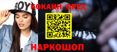 индика Можга