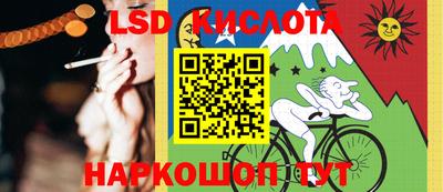 индика Можга