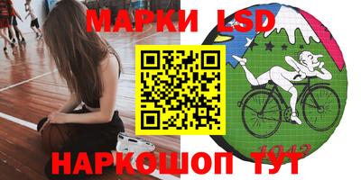 индика Можга