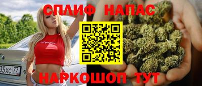 индика Можга