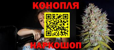 индика Можга