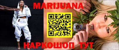 индика Можга