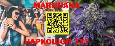 индика Можга