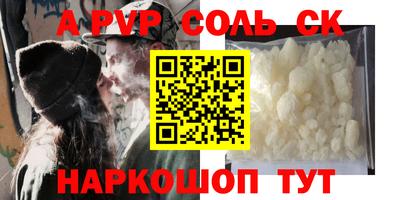 индика Можга