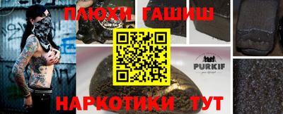 индика Можга