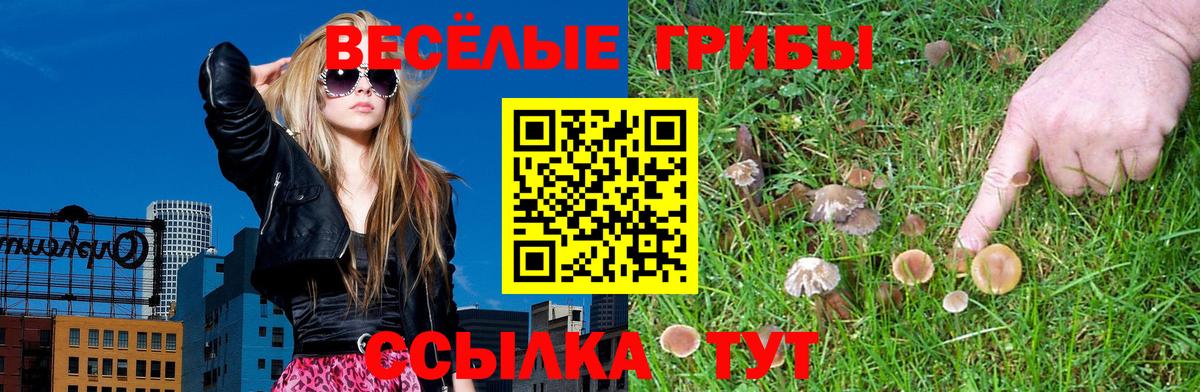 Владикавказ  купить наркотик  Вход с VPN  Псилоцибиновые грибы мухоморы 